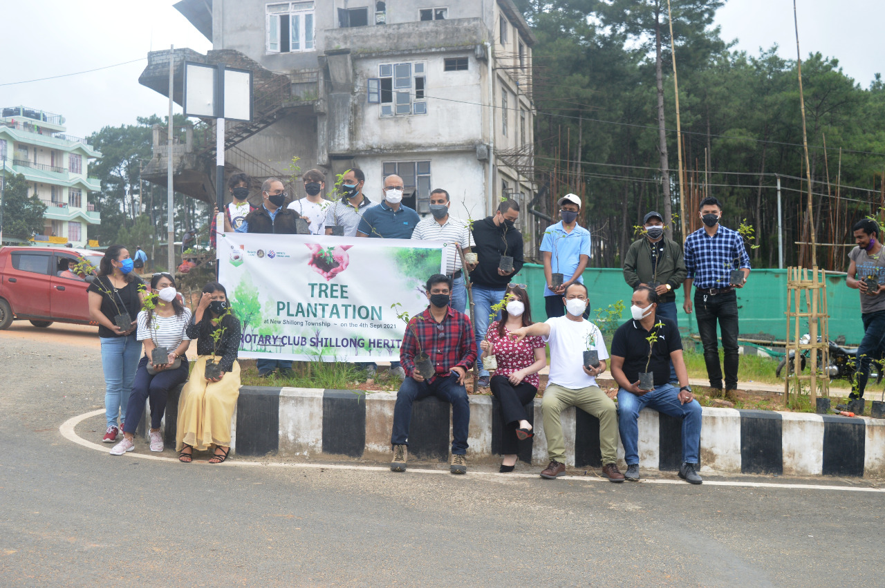 Tree Plantation Project 2021