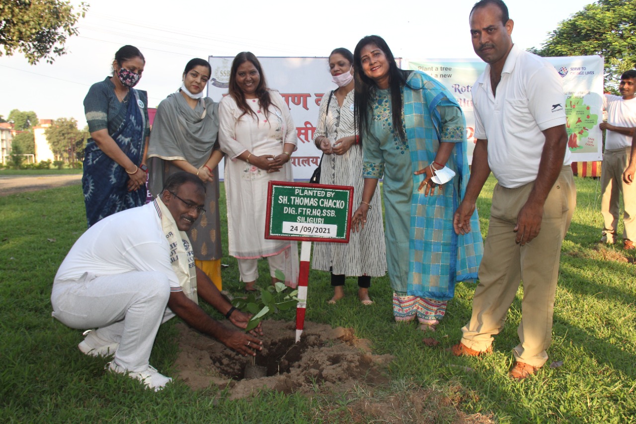 planted 200 sandalwood sapling in SSB