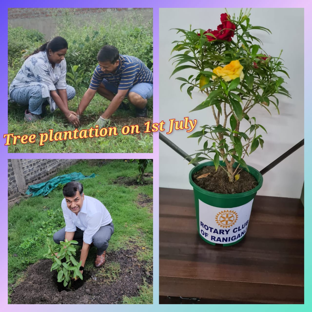 Tree Plantation Program undertaken by our club members at their own premises on 1st July