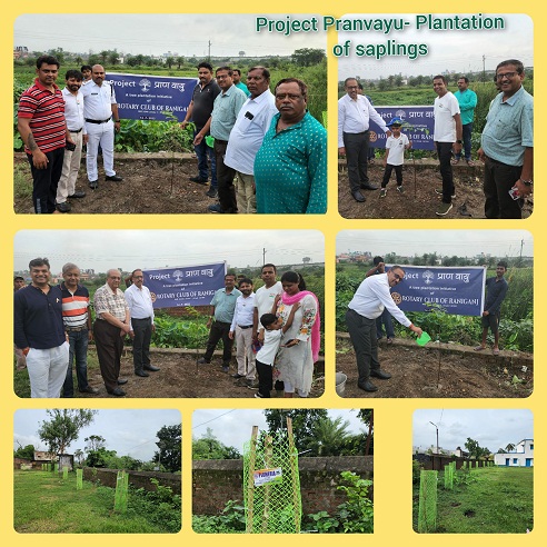 Tree Plantation under the project “Pranvayu “at Amrasota School Campus , Raniganj