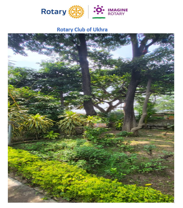 “Save Tree, Save Life” Rotary Centre Park January 2023
